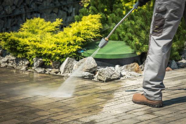 Best Paint Preparation  in Westwood Lakes, FL
